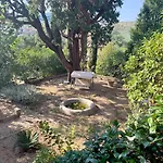 Tuia - Your Serene Getaway In Tuscany * Poggio Alla Croce